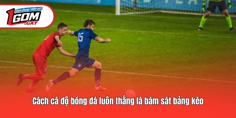 Cách cá độ bóng đá luôn thắng là bám sát bảng kèo