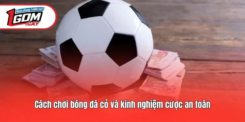 Cách chơi bóng đá cỏ và kinh nghiệm cược an toàn
