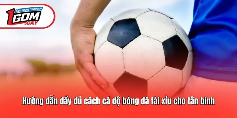 Hướng dẫn đầy đủ cách cá độ bóng đá tài xỉu cho tân binh